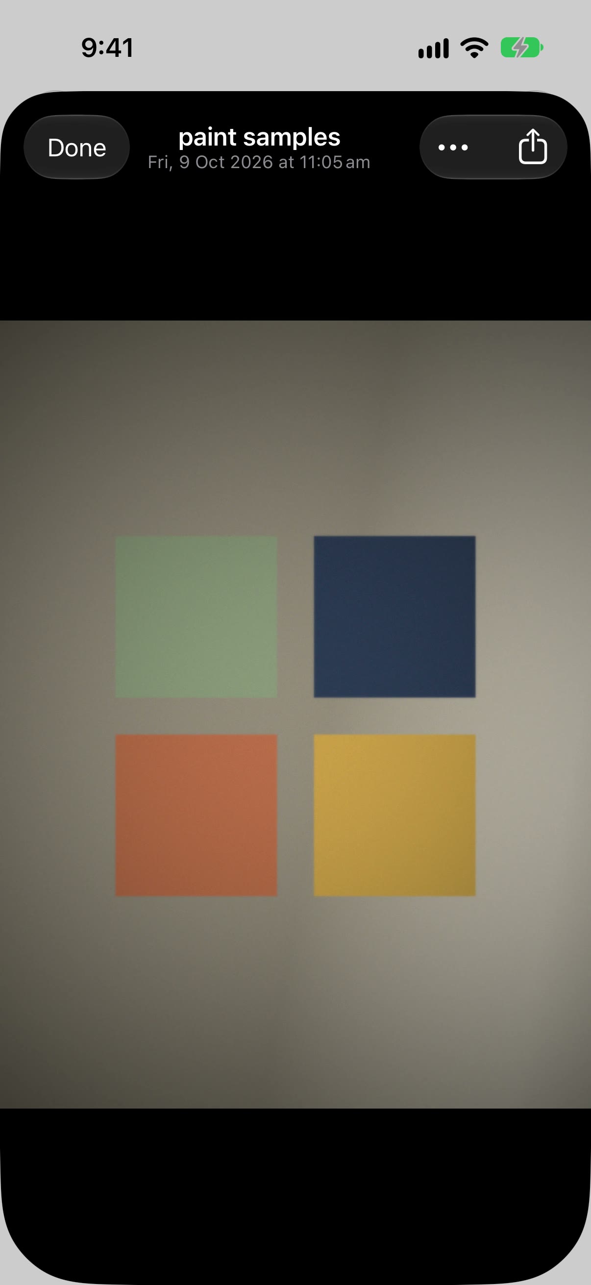 A photo called paint samples open full screen on black: four paint swatches on a wall, with Done, the date, a More menu and Share along the top